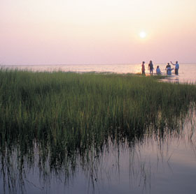 Exploring Smith Island