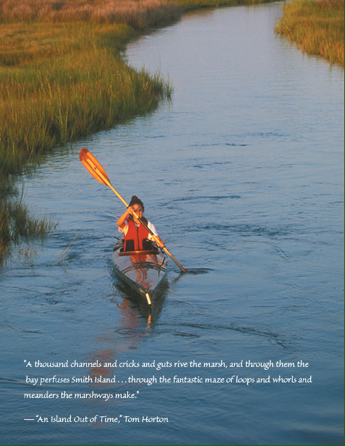 A thousand channels and cricks and guts rive the marsh, and through them the. bay perfuses Smith Island . . . through the fantastic maze of loops and whorls and meanders the marshways make. An Island Out of Time, Tom Horton