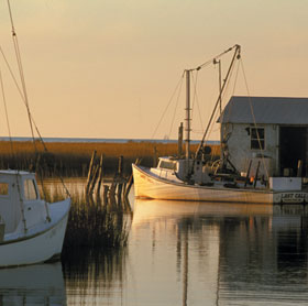 Crab Boats at Sunset